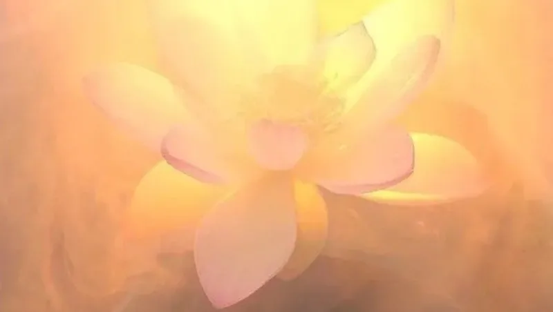 溫養·天人合一