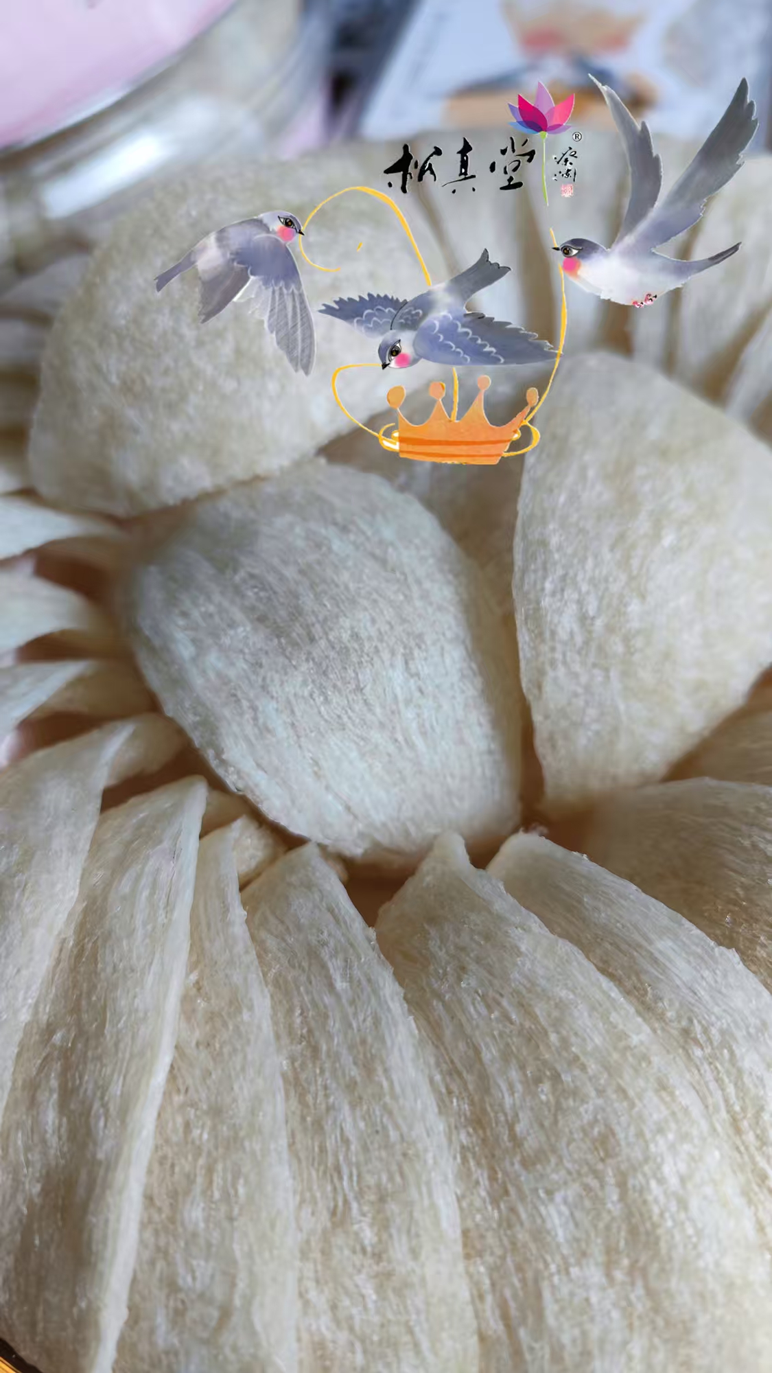 金燕盞 — 盞大色白