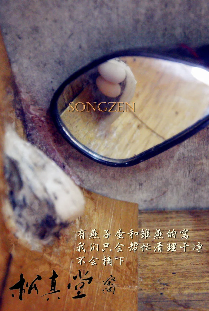 金絲燕燕屋