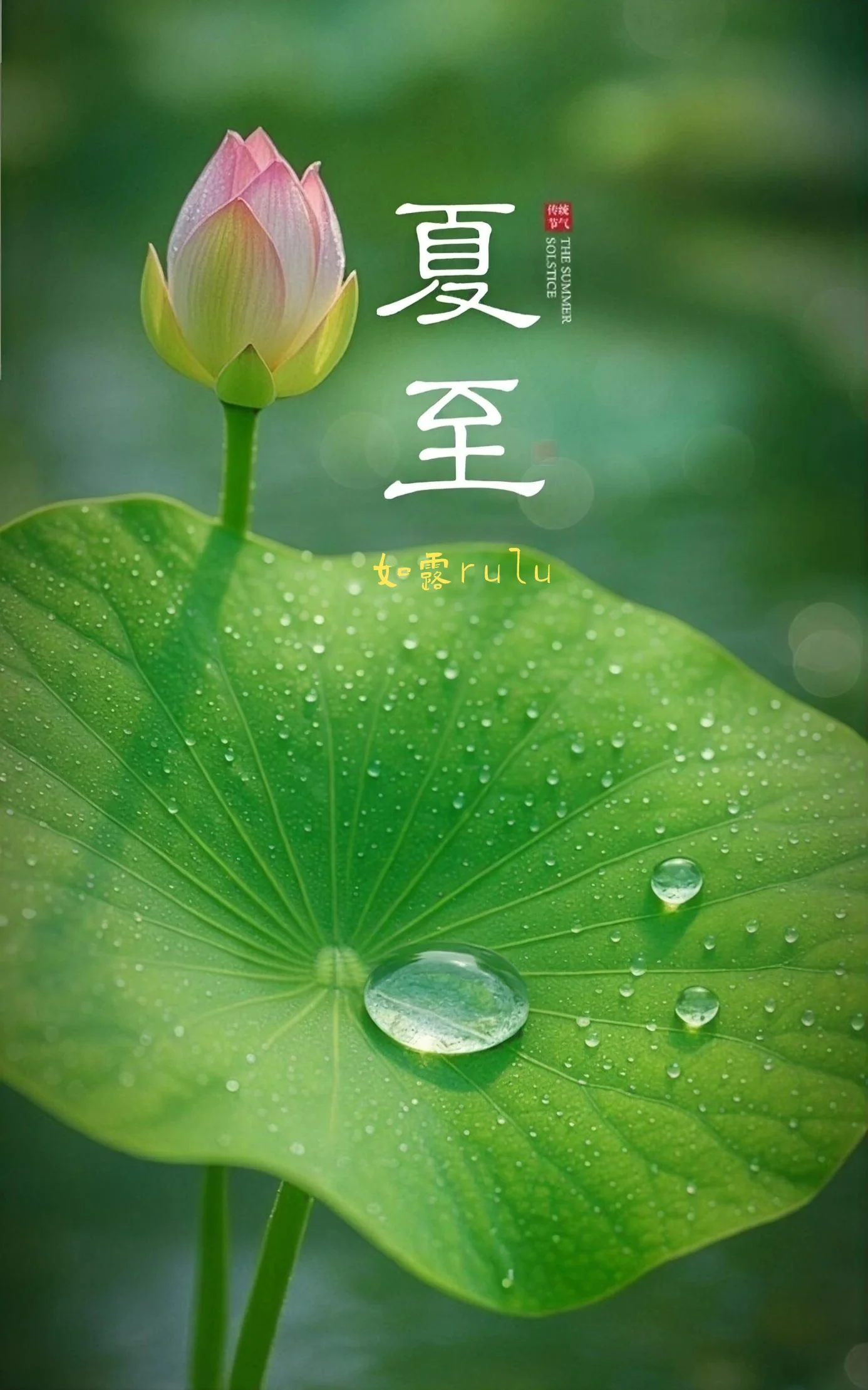 大暑·順時滋養